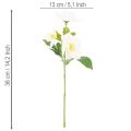 Kunstblume Christrose Bund 36cm Weiß Kunststoff Innenbereich | Floristik21.de