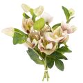 Floristik21 Christrose künstliche Blumen aus Seidenstoff, 30 cm, 4 Stiele, rosa und grün