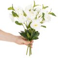 Christrose Kunstblumen Bund Weiß 40 cm 4 Stiele | Floristik21.de