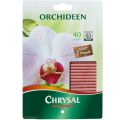 Floristik21 Chrysal Düngestäbchen für Orchideen 40St