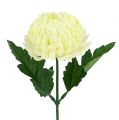 Floristik21 Chrysantheme Creme künstlich Ø7cm L18cm