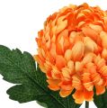 Floristik21 Chrysantheme Orange Ø7cm L18cm 1St