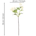 Kunstblumen-Bund Chrysantheme, Kunststoff, cremeweiß, 56 cm, 4 Stück | Floristik21.de