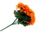 Floristik21 Chrysantheme Orange mit 7 Blüten