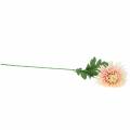 Floristik21 Chrysantheme Blütenzweig Rosa künstlich 64cm