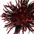 Floristik21 Chrysantheme Dunkelrot 73cm