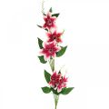 Floristik21 Clematiszweig mit 5 Blüten, Kunstblume, Deko-Zweig Pink, Weiß L84cm