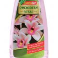 Floristik21 Combiflor Orchideen Vital 200ml