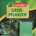 Floristik21 Combiflor Düngestäbchen für Grünpflanzen 20St