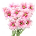 Floristik21 Cosmea künstlich Pink 77cm 3St