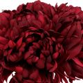 Floristik21 Chrysanthemenstrauß Bordeaux 28cm 6St