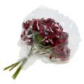 Floristik21 Chrysanthemenstrauß Bordeaux 28cm 6St
