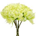 Floristik21 Strauß aus Chrysanthemen künstlich Creme, Gelb 28cm 6St