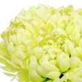 Floristik21 Strauß aus Chrysanthemen künstlich Creme, Gelb 28cm 6St