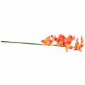 Floristik21 Orchidee Kunstblume Cymbidium Orange 74cm