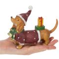 Dekofigur Dackel mit Geschenkpaket und Mütze aus Polyresin 18 cm x 5 cm x 13 cm | Floristik21.de