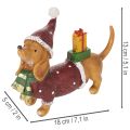Dekofigur Dackel mit Geschenkpaket und Mütze aus Polyresin 18 cm x 5 cm x 13 cm | Floristik21.de