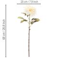 Künstliche Dahlienblume 68cm Cremeweiß für Innenraumdekoration | Floristik21.de