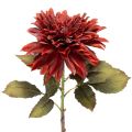 Floristik21 Kunstblume Dahlie Rot mit Stiel 68cm aus Kunststoff und Seidenstoff