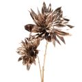 Floristik21 Kunstblume Dahlie 75cm langstielig mit zwei Blüten Metallic Champagner Kunststoff