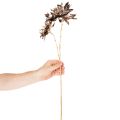 Kunstblume Dahlie 75cm langstielig mit zwei Blüten Metallic Champagner Kunststoff | Floristik21.de