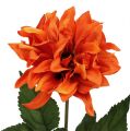Floristik21 Dahlie Orange 28cm 4St