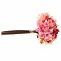 Floristik21 Dahlie Bund Blumenstrauß 28cm rosa, creme 6St