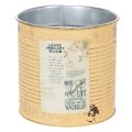 Floristik21 Deko Dose Apricot Pflanztopf Metall Sommerdeko Ø15,5cm H15cm