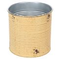 Deko Dose Apricot Pflanztopf