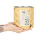 Deko Dose Apricot Pflanztopf Metall Sommerdeko Ø15,5cm H15cm | Floristik21.de