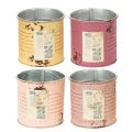 Deko Dose Metall Vintage Ø8cm H7,5cm Verschiedene Farben | Floristik21.de