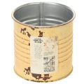 Floristik21 Deko Dose Sommer Apricot Metalldose Pflanztopf Ø8cm H7,5cm