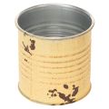 Deko Dose Sommer Apricot