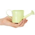 Deko Gießkannen Übertopf Metall Set 8-teilig, bunt, 16,5x7cm - Ideale Pflanzengefäße für Balkon & Küche | Floristik21.de