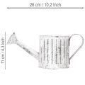 Deko-Kanne, Pflanzgefäß, Gießkanne zum Bepflanzen Ø10,5cm | Floristik21.de