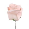 Floristik21 Deko-Rose Mix Weiß, Rosa, Creme Ø7,5cm 12St