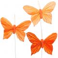 Floristik21 Deko-Schmetterling Orange 12St