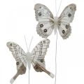 Floristik21 Deko-Schmetterlinge Weiß, Braun Federschmetterling am Draht 7,5cm 6St
