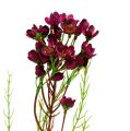 Floristik21 Deko-Zweig mit Blüten Erika 80cm 3St
