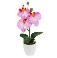 Floristik21 Deko Orchidee im Topf Rosa H29cm