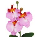 Floristik21 Deko Orchidee im Topf Rosa H29cm