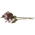 Floristik21 Deko Rosen Blumenstrauß Kunstblumen Rosenstrauß Violett 45cm 3St