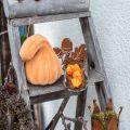 Floristik21 Deko Kürbis gekrümmt Orange beflockt Künstlicher Zierkürbis 18cm