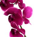 Floristik21 Deko Orchidee Pink L77cm
