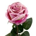 Floristik21 Deko-Rose gefüllt altrosa Ø10cm L65cm 3St