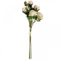 Floristik21 Deko Rosen Creme Künstliche Rosen Seidenblumen 50cm 3St