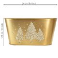 Deko Schale oval Tannenbaum Übertopf Gold 24×13×12,5cm | Floristik21.de