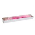 Floristik21 Deko Schmetterling Rosa-Pink sort. 6cm 24St