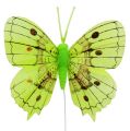 Deko Schmetterlinge Grün 8cm 6St