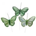 Floristik21 Deko-Schmetterlinge Grün Federschmetterlinge am Draht 10cm 12St